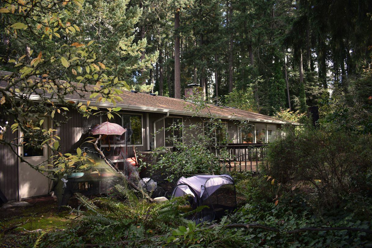A house among tall evergreen trees in the Pacific Northwest